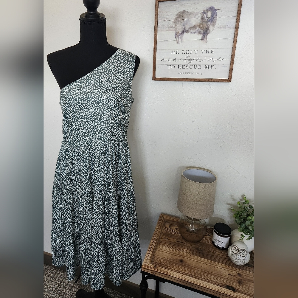 NWT BEAUTIFULLY FLATTERING ONE SHOULDER DRESS